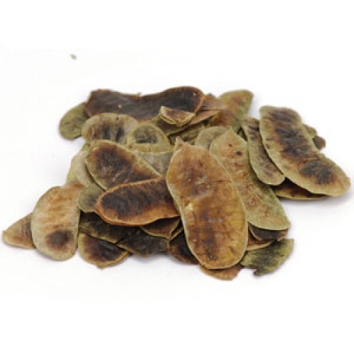 Senna Pod