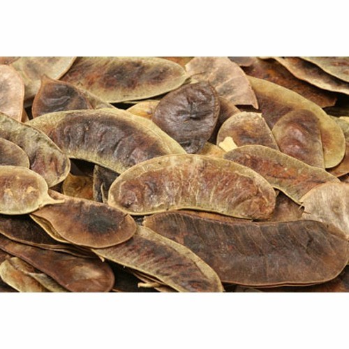 Senna Pods, Packaging Size: 25 Kg Or 50 Kg Balk Packing, Packaging Type: 25 Kg Or 50 Kg Balk Packing