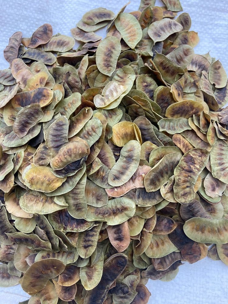 Cassia Acutifolia Dried Senna Pods