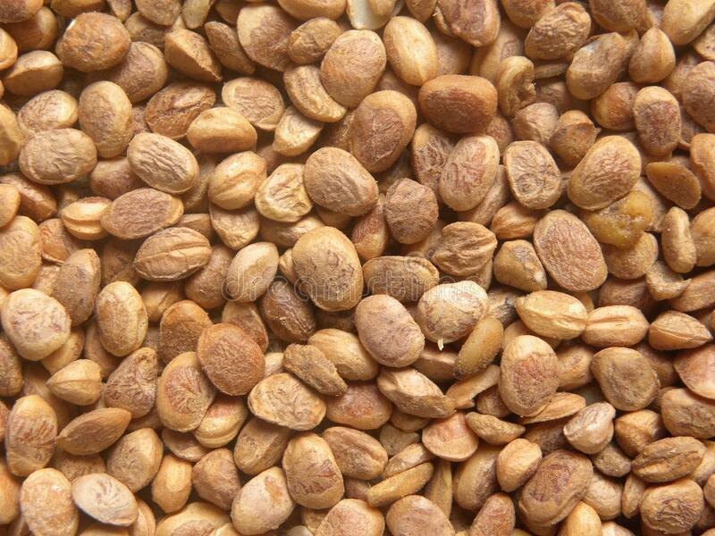 Chironji, Packaging Size: 1kg