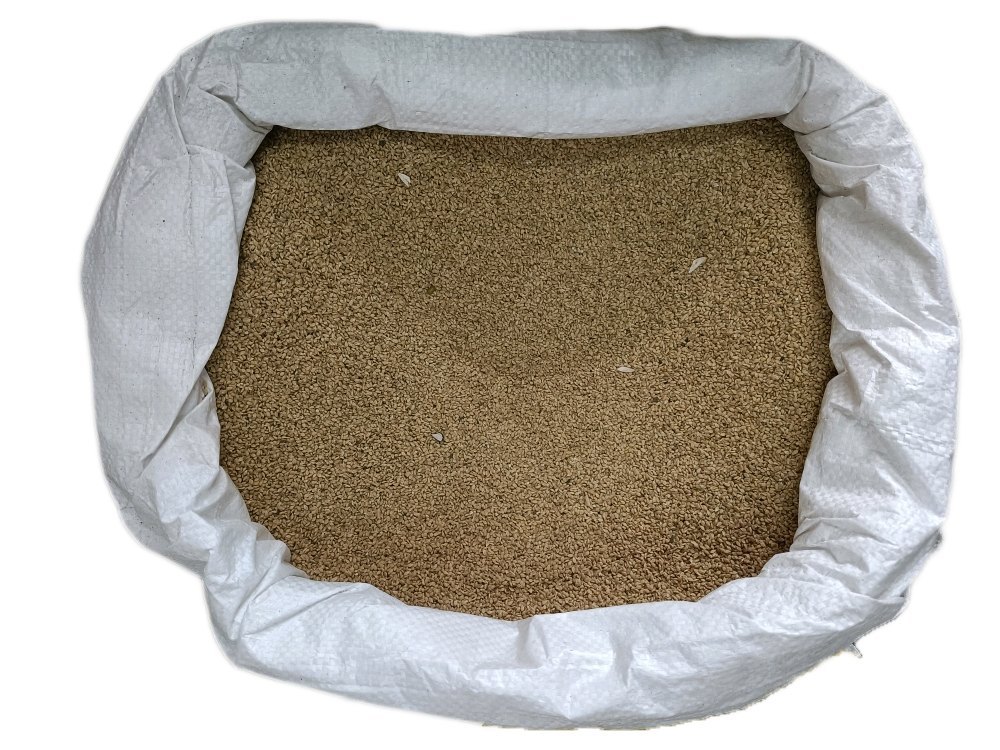 Brown Buchanania Lanzan Seed, Packaging Type: Loose