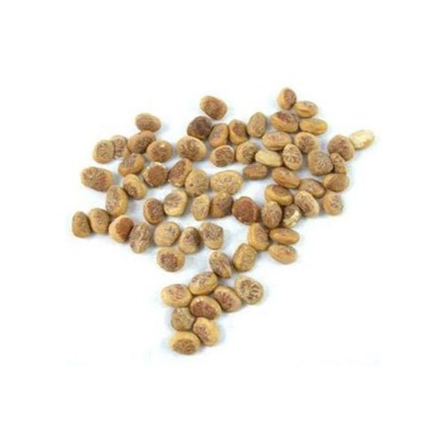 Effar Chironji Seeds, Packaging Size: 10 Kg, Packaging Type: Plastic Box