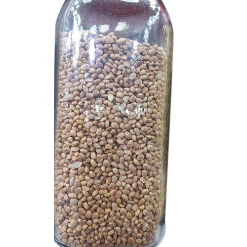 Buchanania Lanzan Seed, Packet