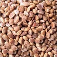 Chiraunji Seed