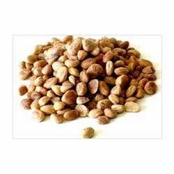 Chironji Seeds