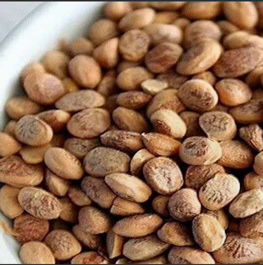 Chironji Seeds