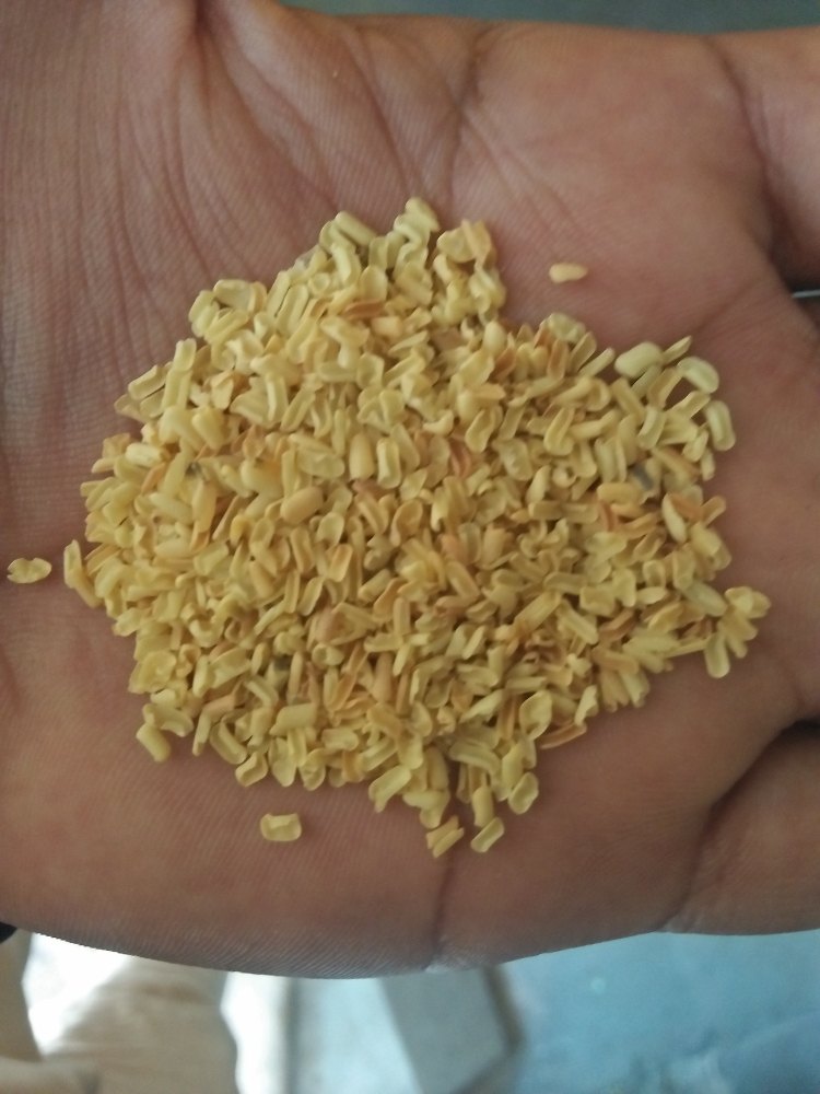 Cassia Splits, Packaging Type: 50 Kg