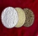 Cassia Splits