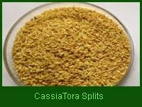 Cassia Tora Splits