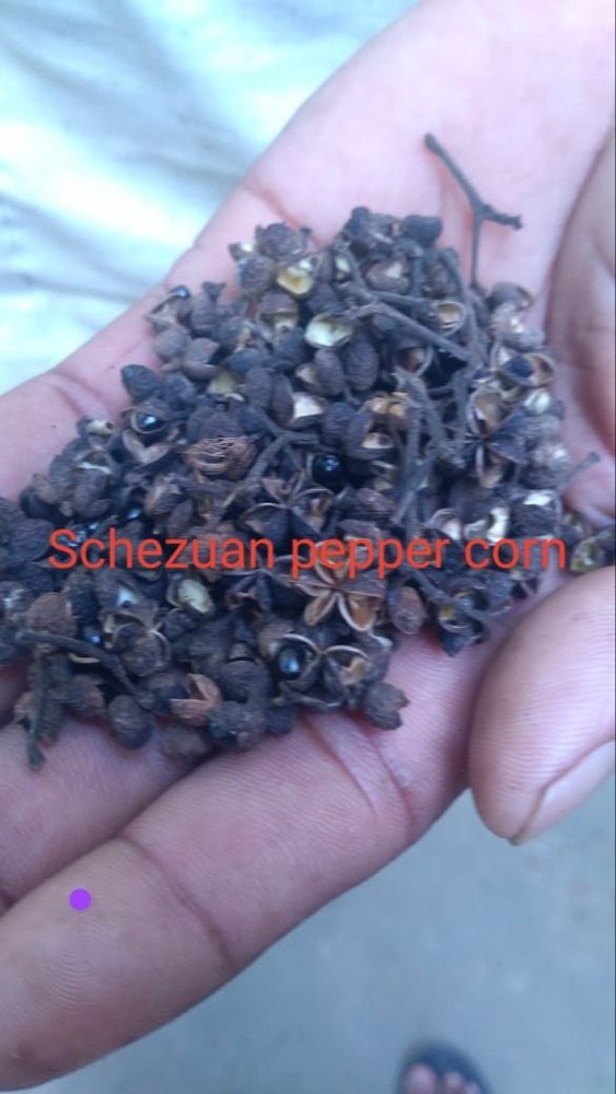 Schezwan Peppercorn