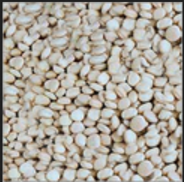 Tamarind Kernels
