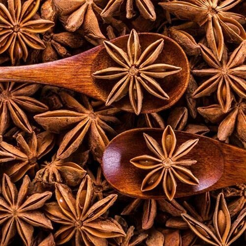 Chakra Phool Or Star Anise, Packaging Type: Packet, Packaging Size: 1 kg