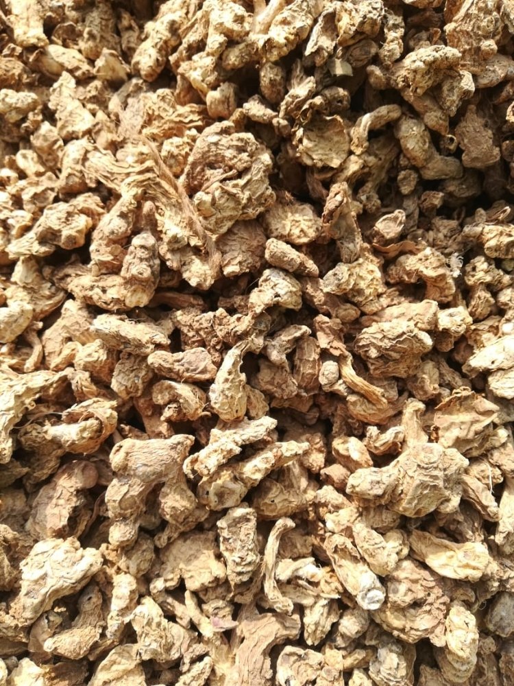 Brown Dry Ginger, Packaging Size: 25 kg, 50 kg, Packaging Type: PP Bag