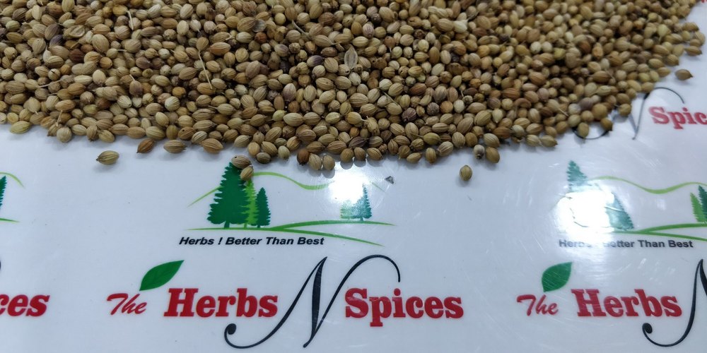 Coriander Seeds - Dhaniya