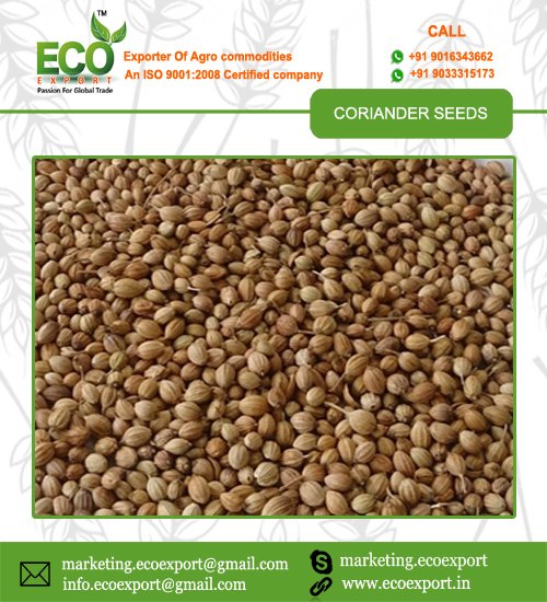 Coriander Seed