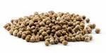 Coriander Seeds