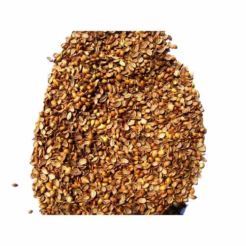 Brown Coriander eagle splits, Packaging: PP Bags, 30 - 40 kg