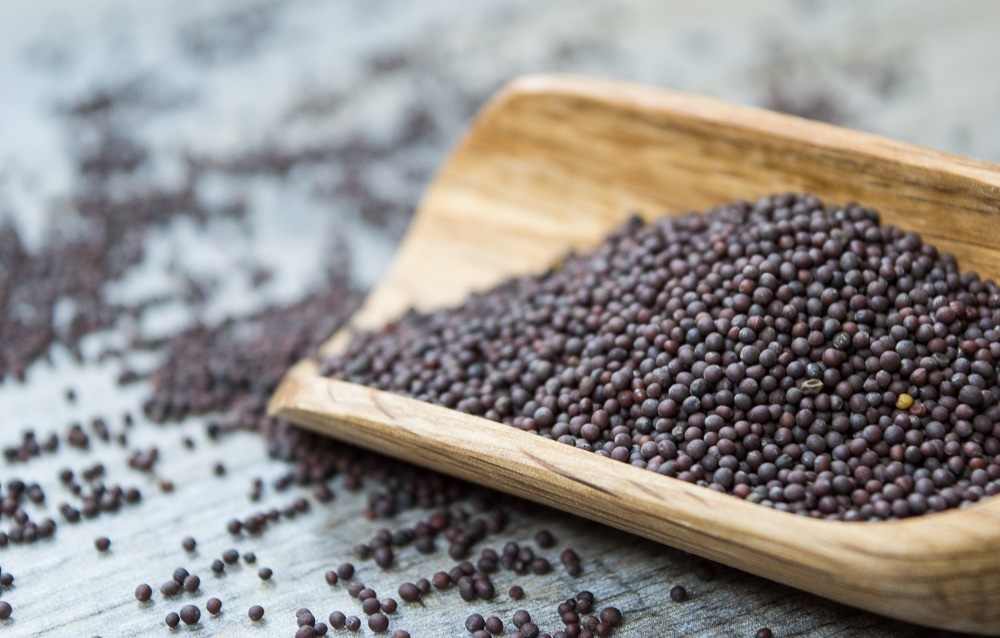 SInhal 100% Black Mustard Seeds - Sarson - Kali Sarso, Packaging: Packet, 50-200g