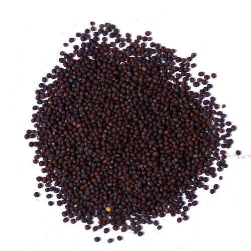 shyali products 50 kg Black Mustard Seed