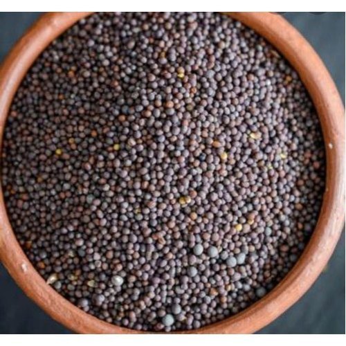 from farmers 20-25 kg Rai Black Mustard Seeds