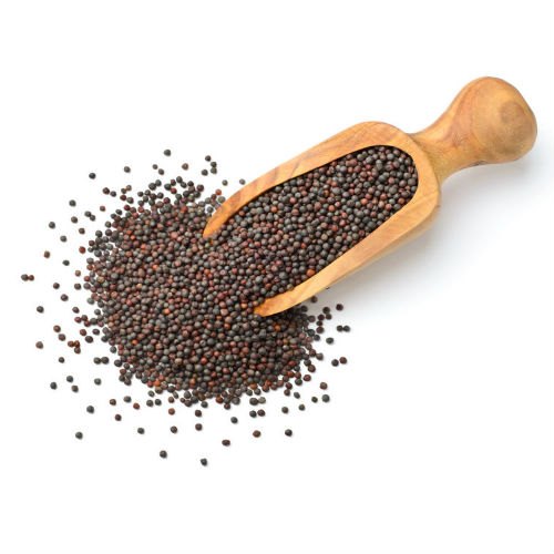 Black 100 Kg Mustard Seed Small
