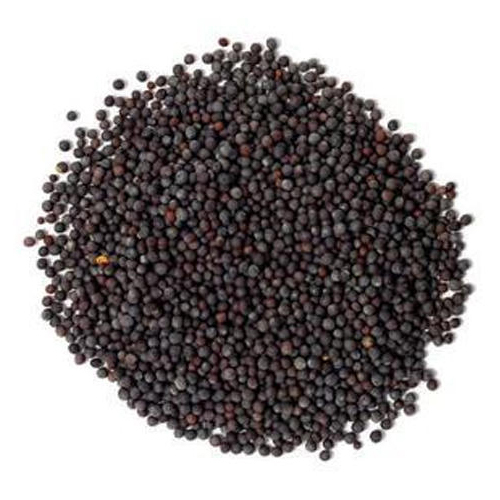 Traditional Black Mustard