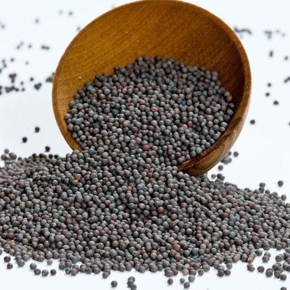 50 kg Black Mustard Seed