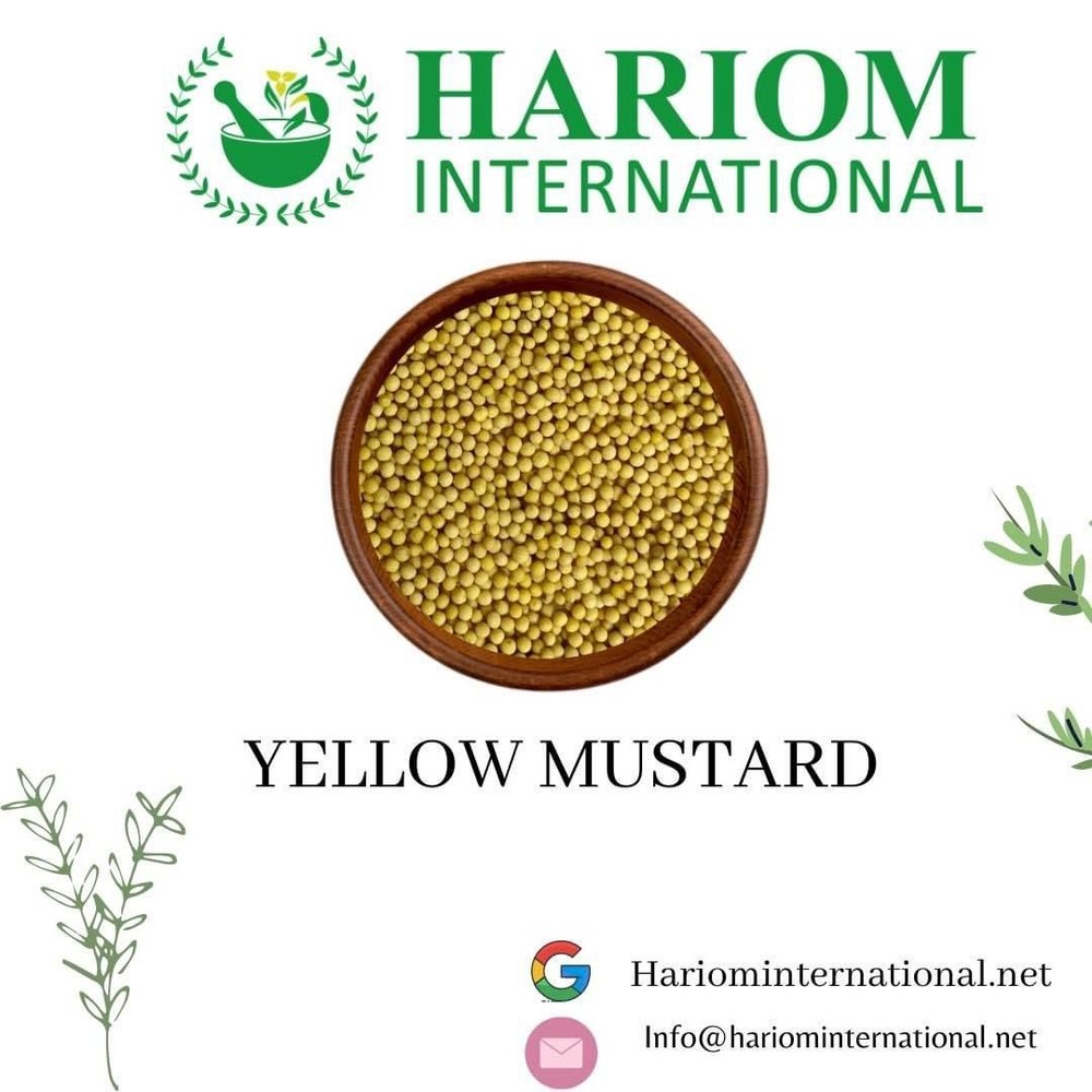 25kg Yellow Mustard Seeds