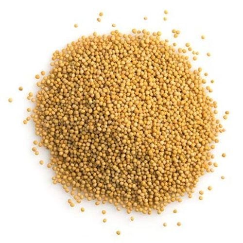 Unbrand 1 Kg YELLOW MUSTARD - PILI RAI