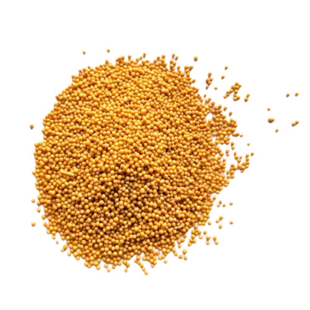 Loose Yellow Mustard Seeds pili rai