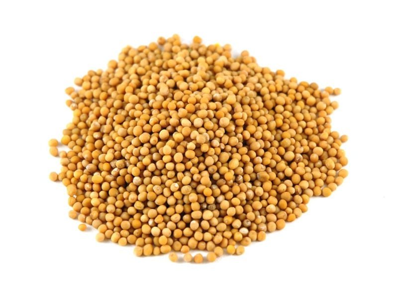 ashwmegh 1 Kg RAI/ YELLOW MUSTARD