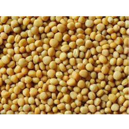 Yellow Mustard Seeds