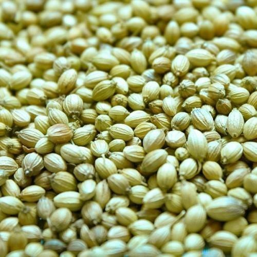 MARWAR Dried Dhaniya, For Kitchen Spices, Packaging Size: Bulk