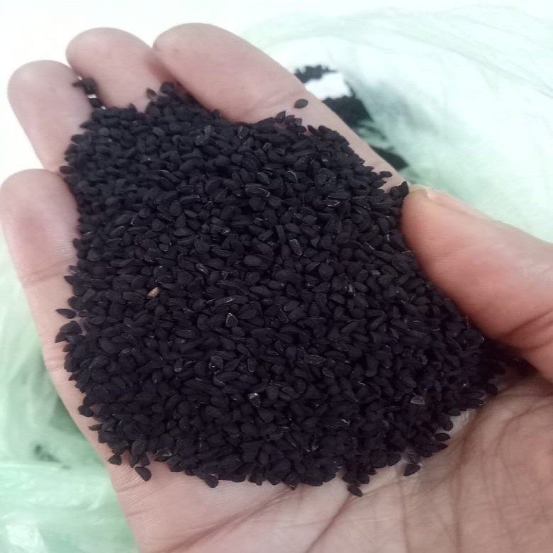 Kalonji Seeds NS44