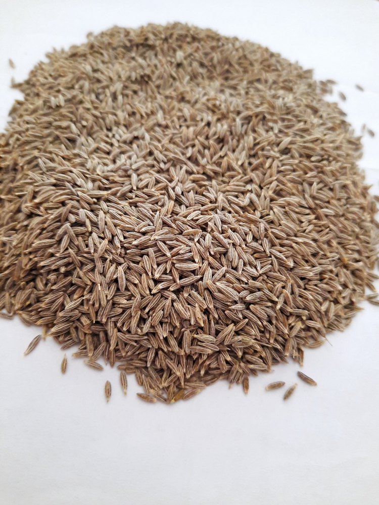 White Cumin Seeds