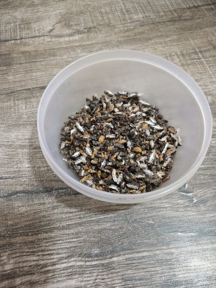 Black Loose Cardamom Seeds