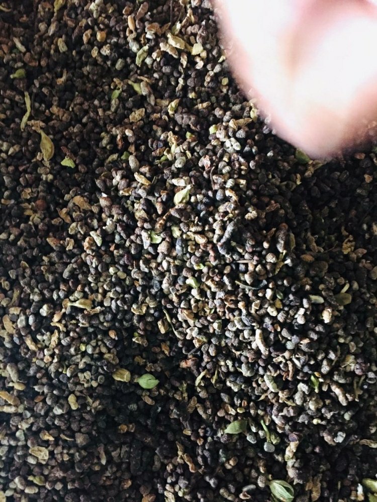 Spice Spices Black Green Cardamom Seeds, Packaging Type: Gunny Bag, Packaging Size: 1 kg