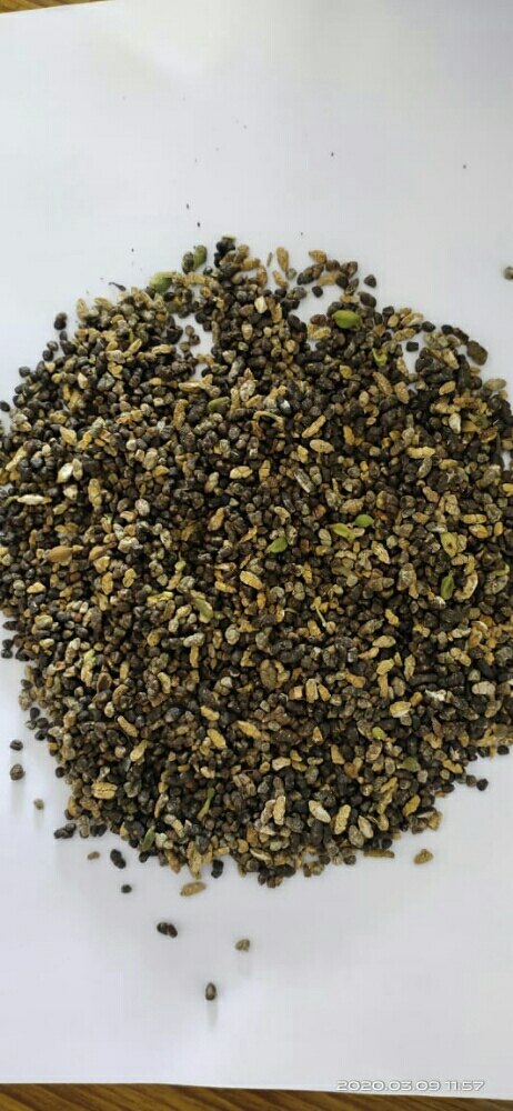 Local Black Green Cardamom Seeds, Packaging Type: Gunny Bag, Packaging Size: 50kg bags