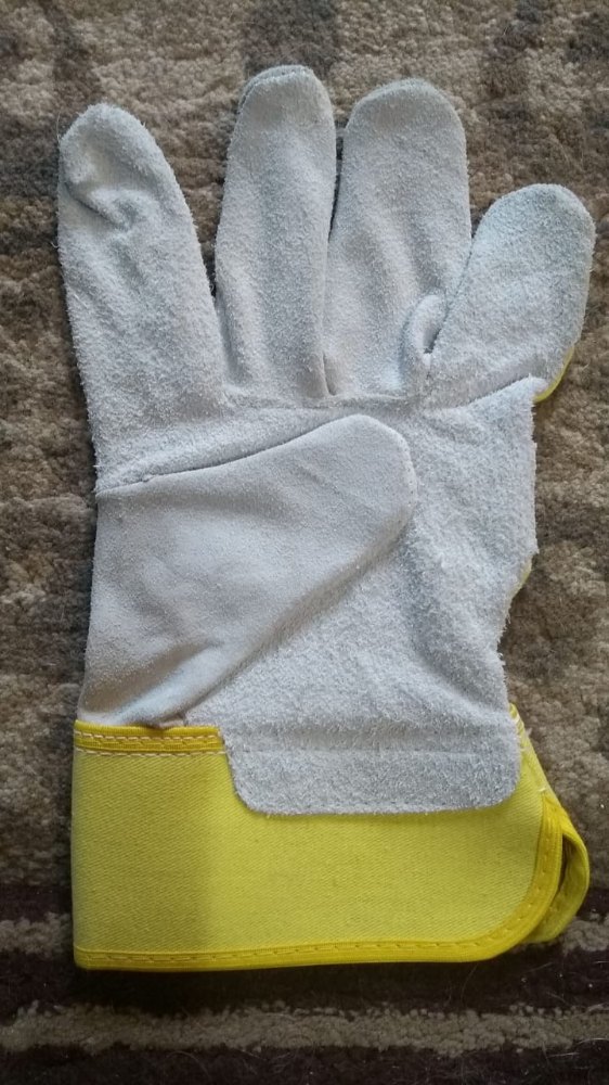 White Unisex Canadian Gloves - 10, Size: Medium, Model Name/Number: Elcee
