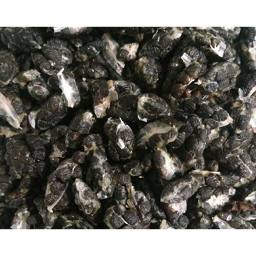 Vanraaj Green Cardamom Seeds Joint, Packaging Type: PP Bag, Packaging Size: 10 kg