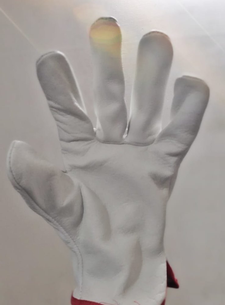 Leather(Buff/Split/Chrome) White Canadian Hand Gloves
