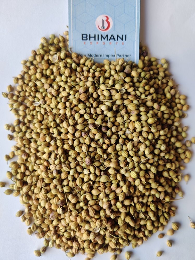 Double Parrot Coriander Seed