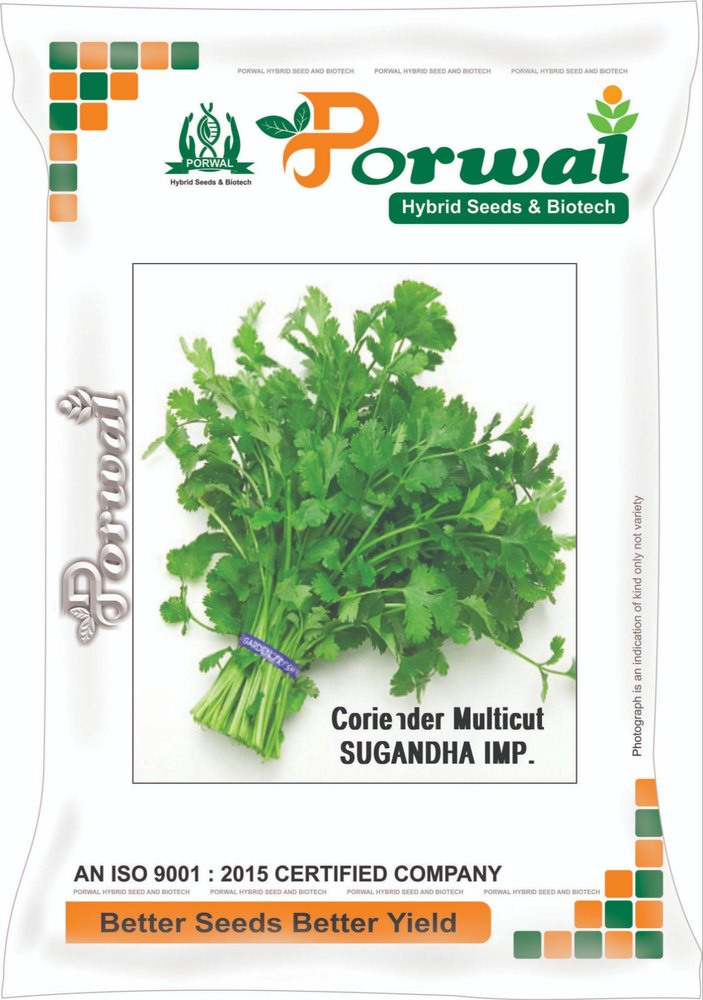 Natural Green Coriander Seeds, For Agriculture, Packaging Size: 1 kg