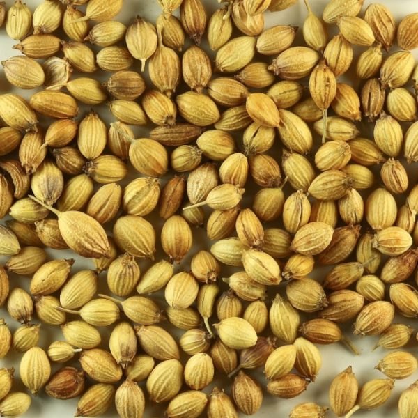 24 Months Organic Coriander Seeds, PP Bag, Packaging Size: 1 kg-5 kg