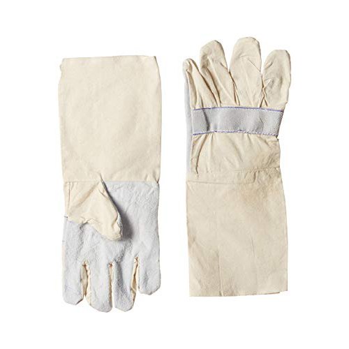 White/Off White General Canvas Leather Gloves, Size: Free Size, For Industries