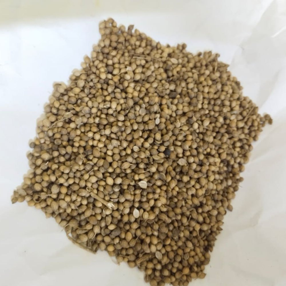 Dried Brown Organic Coriander Seed, For Cooking