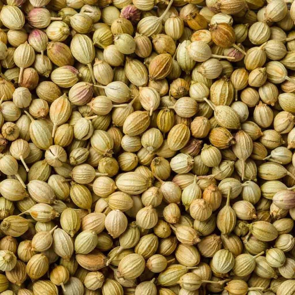 Organic Coriander Seed, Packaging Type: Bag, Packaging Size: 25 Kg