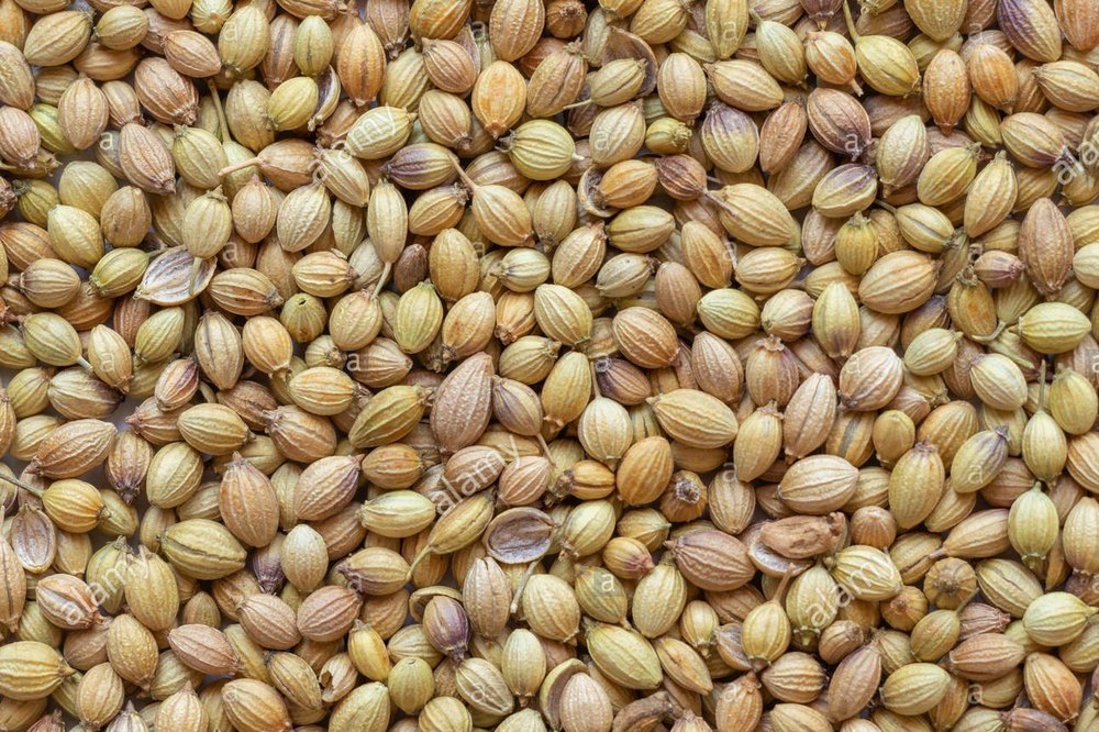 Brown Coriander Seeds