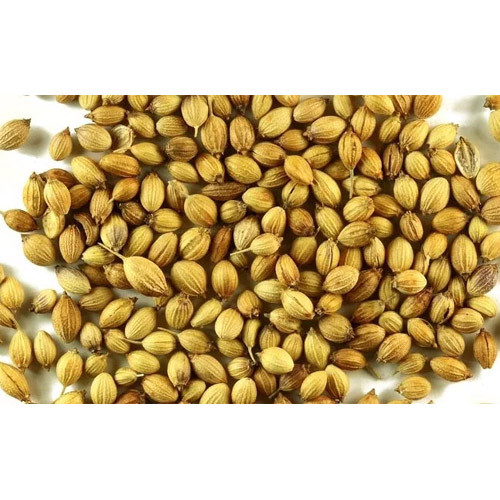 Coriander Seed