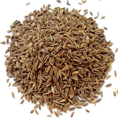 Dill Seeds